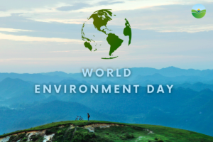 word environment day blog