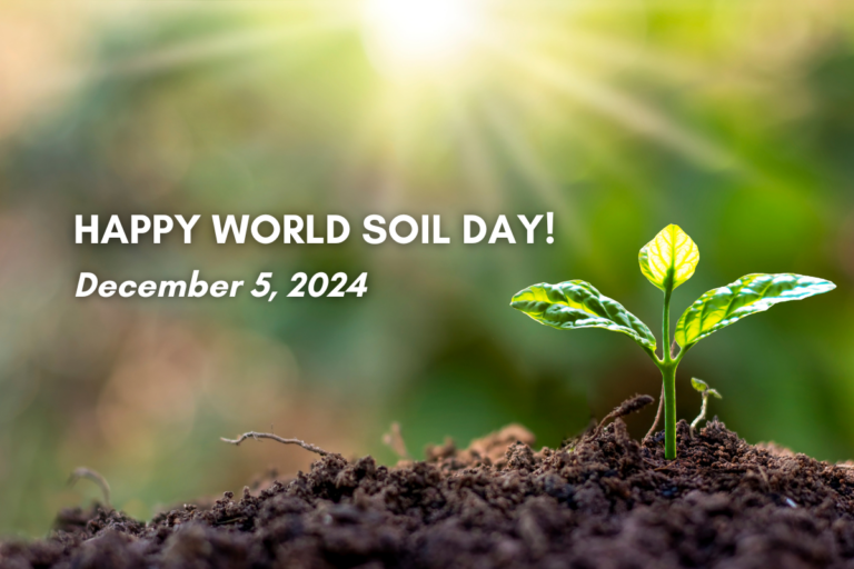 World Soil Day CRG Texas Environmental’s Commitment to Healthy Soil